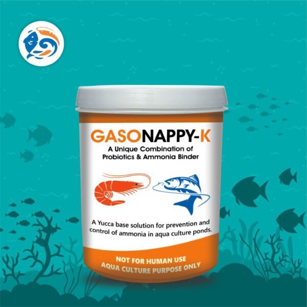 GASONAPPY+K[500 Grams]