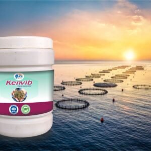 KENVIB[600 Grams]