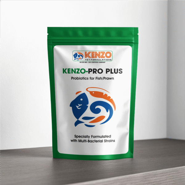 KENZO-PRO PLUS[500 Grams(50g*10)]