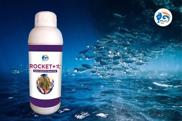 ROCKET+K[1000 ml]
